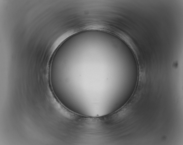 X0000111451050200907201044