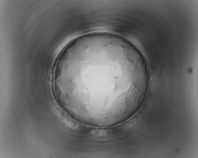 X0000111451051200907201044