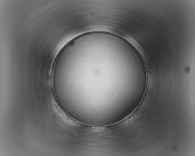 X0000111451052200907201044