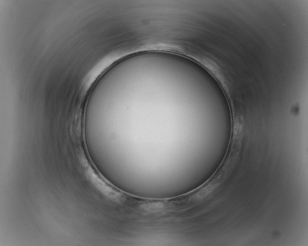 X0000111451054200907201044
