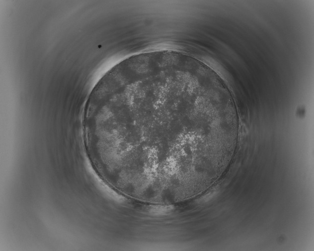 X0000111451055200907201044