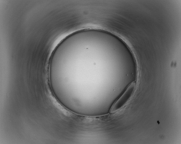 X0000111451056200907201044