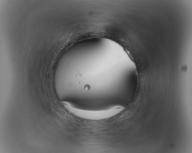 X0000111451057200907201043
