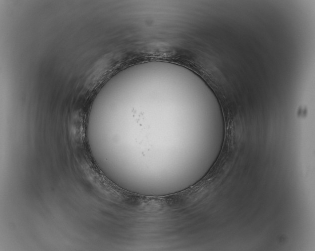 X0000111451058200907201043