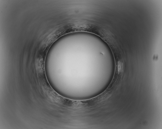 X0000111451059200907201043