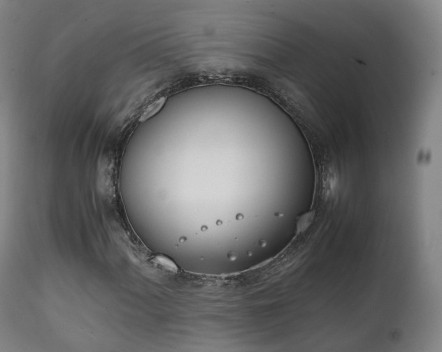 X0000111451060200907201043