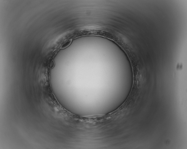 X0000111451062200907201043