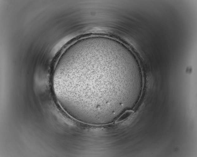 X0000111451066200907201043