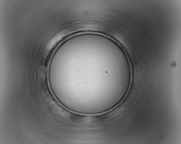 X0000111451067200907201043