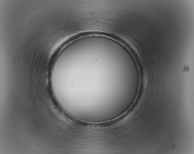 X0000111451069200907201043