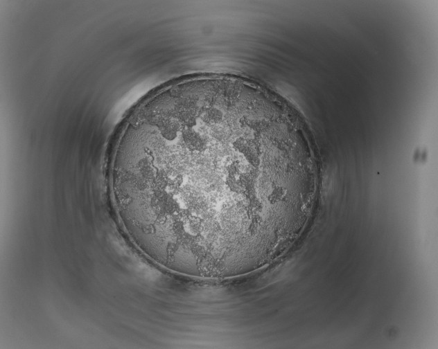 X0000111451071200907201043