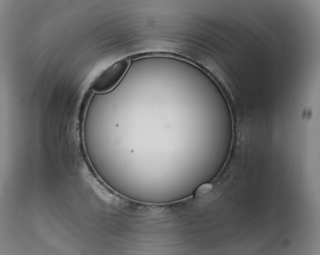 X0000111451072200907201043