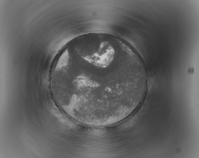 X0000111451074200907201043