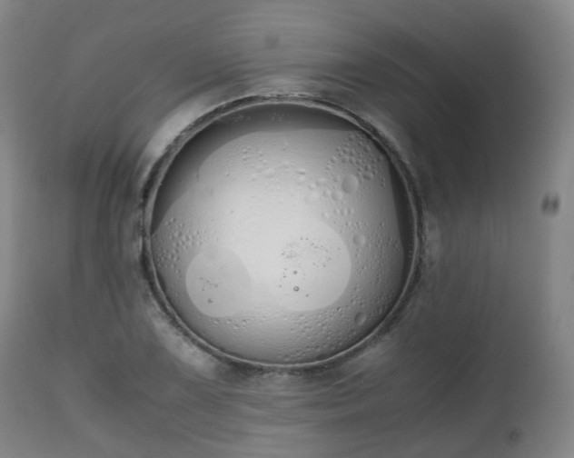 X0000111451075200907201043