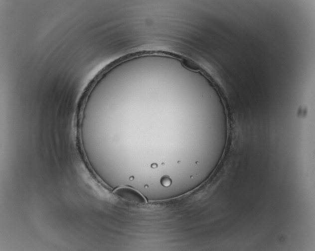 X0000111451076200907201043