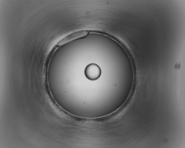 X0000111451077200907201043