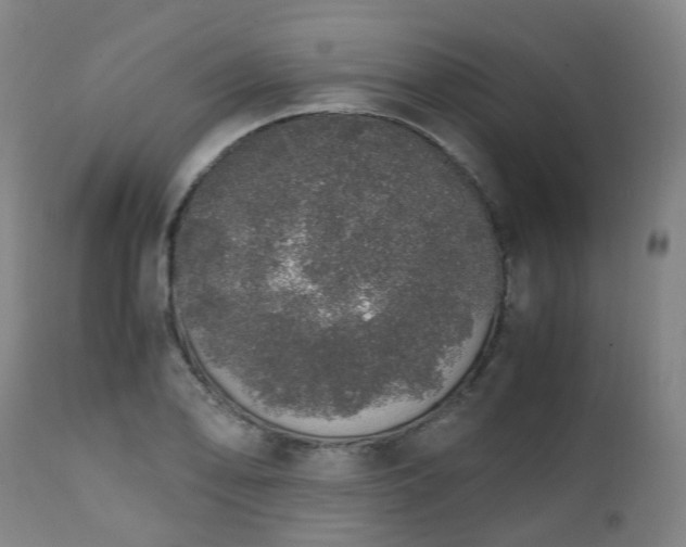 X0000111451078200907201043