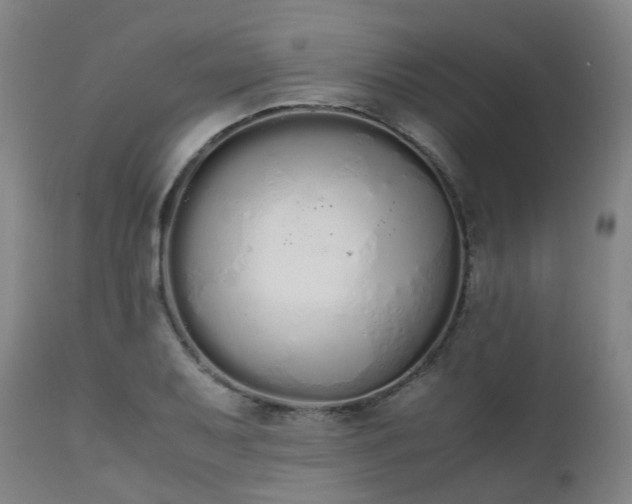 X0000111451079200907201043