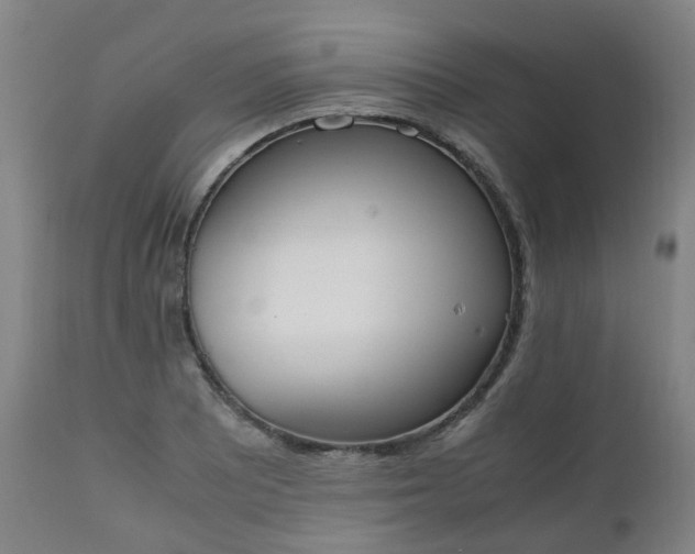 X0000111451081200907201043