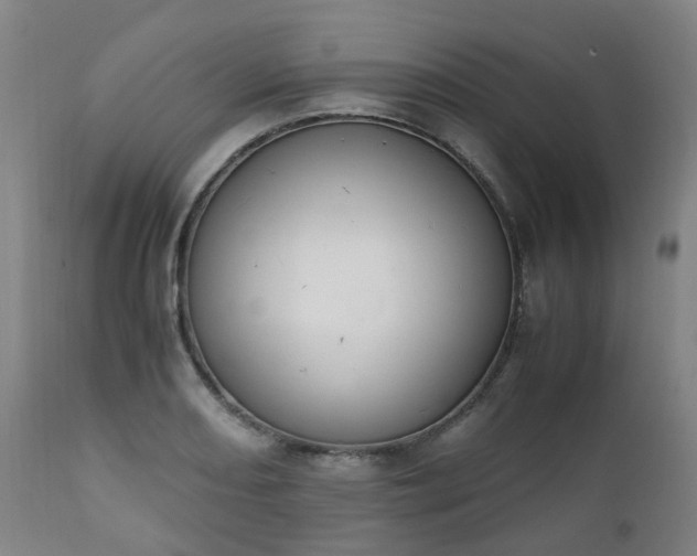 X0000111451082200907201043