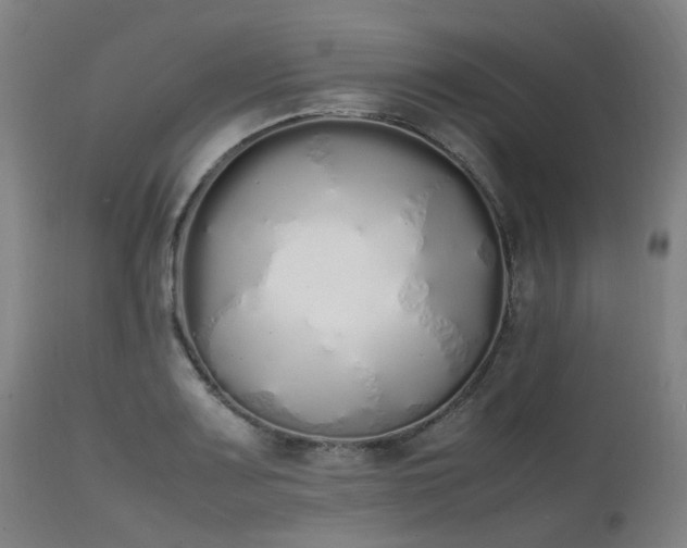 X0000111451083200907201043