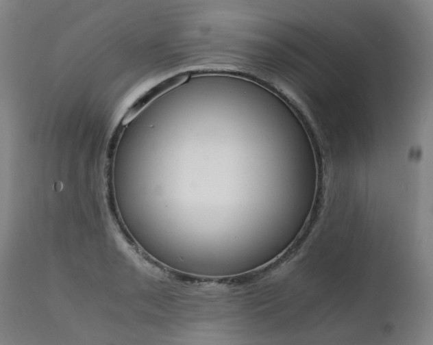X0000111451085200907201043