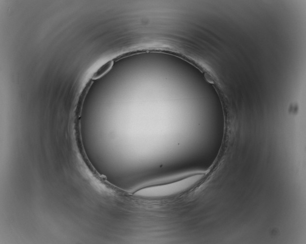 X0000111451086200907201043