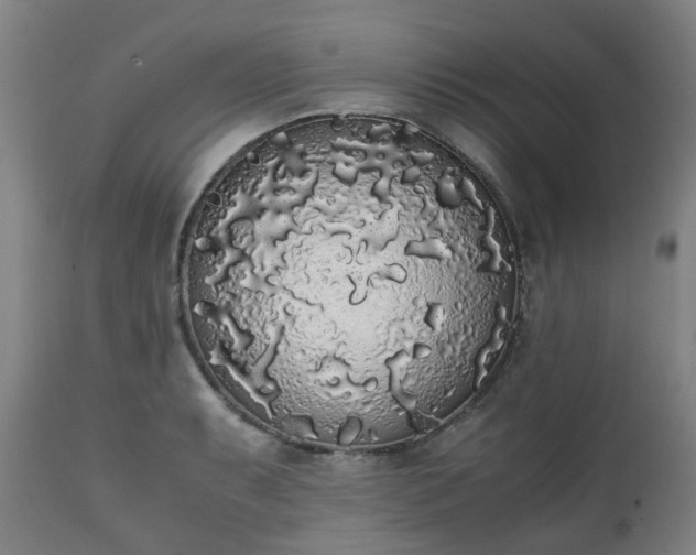 X0000111451087200907201043