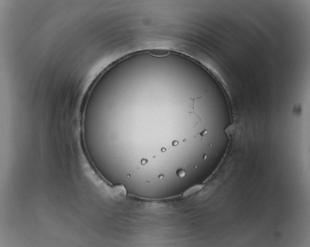 X0000111451088200907201043