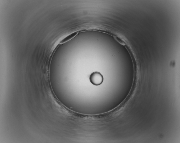 X0000111451089200907201043