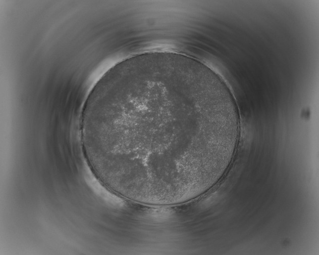 X0000111451090200907201043