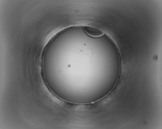 X0000111451093200907201043