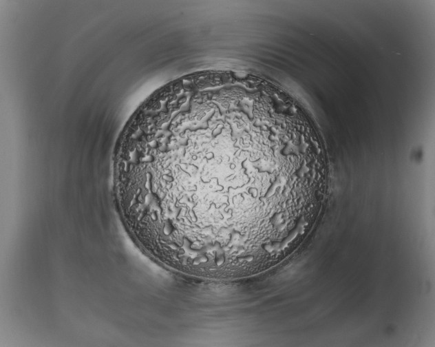 X0000111451095200907201043
