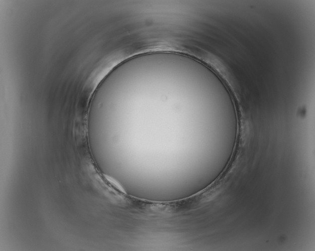 X0000111451097200907201043