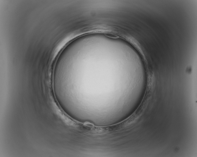 X0000111451099200907201043