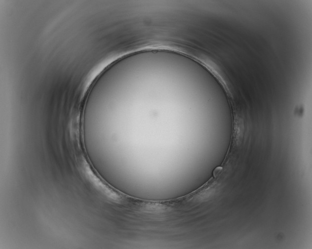 X0000111451100200907201043