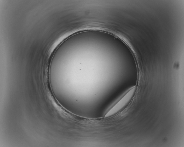 X0000111451101200907201043