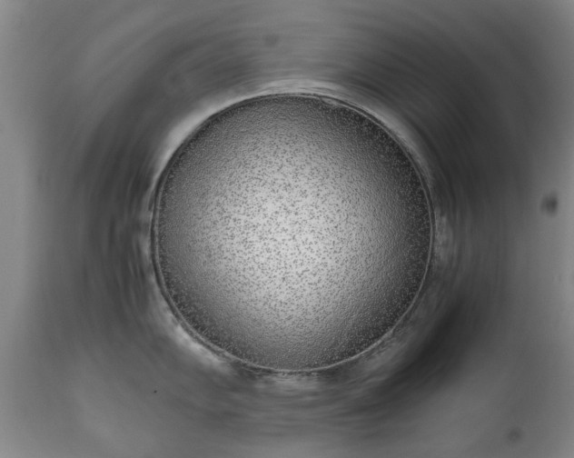 X0000111451102200907201043