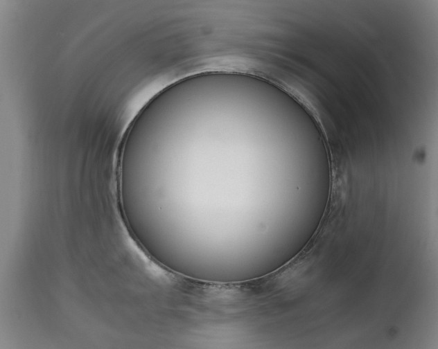X0000111451103200907201043