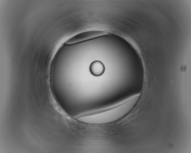 X0000111451104200907201043