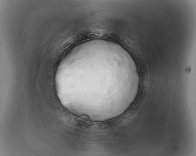 X0000111451105200907201042