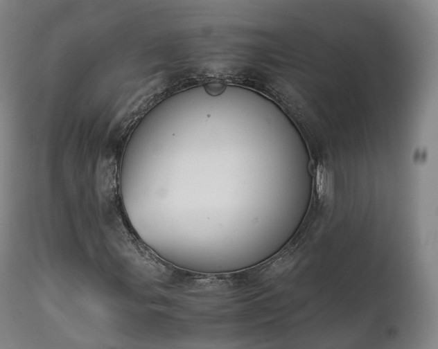 X0000111451107200907201042