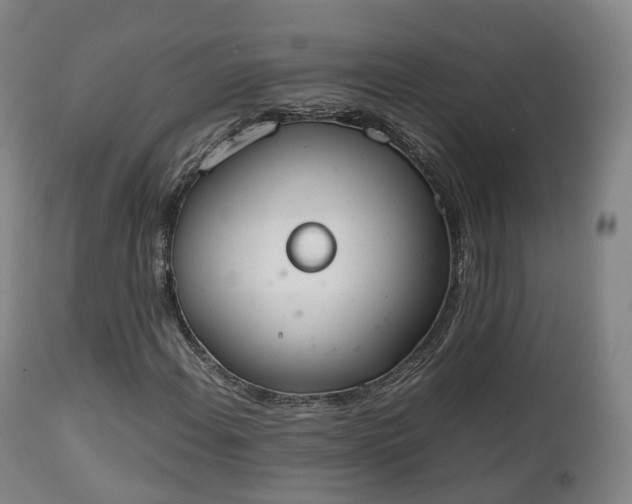 X0000111451108200907201042