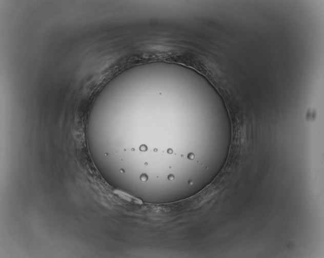 X0000111451109200907201042