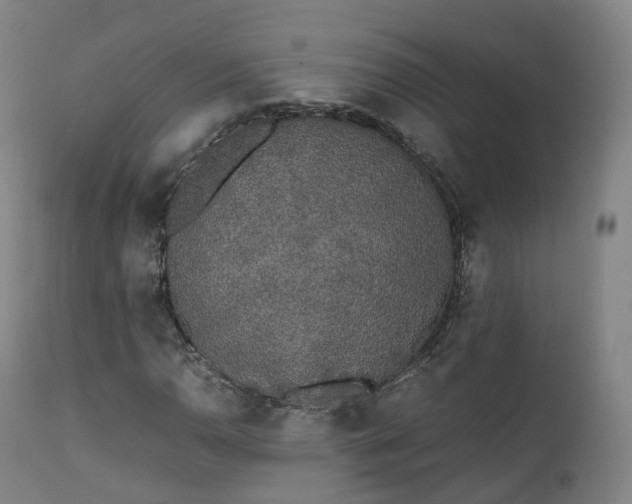 X0000111451110200907201042
