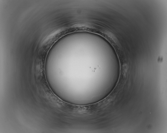 X0000111451111200907201042
