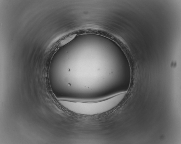 X0000111451112200907201042