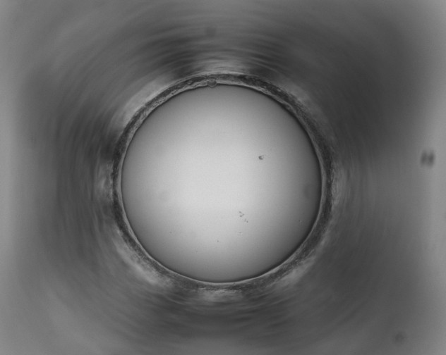 X0000111451113200907201042