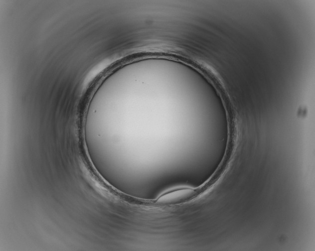 X0000111451114200907201042