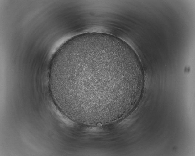 X0000111451115200907201042